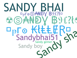Nama panggilan - Sandybhai