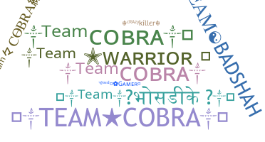 Nama panggilan - TeamCobra