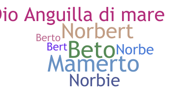 Nama panggilan - Norberto