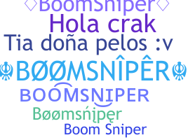 Nama panggilan - BoomSniper