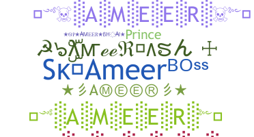 Nama panggilan - Ameer