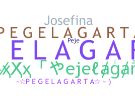 Nama panggilan - Pejelagarto