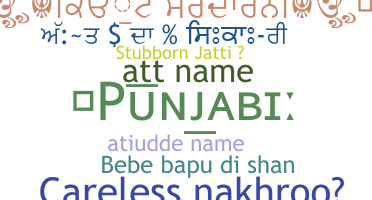 Nama panggilan - Punjabi