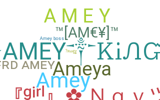 Nama panggilan - AmeY