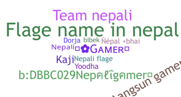 Nama panggilan - Nepaligamer