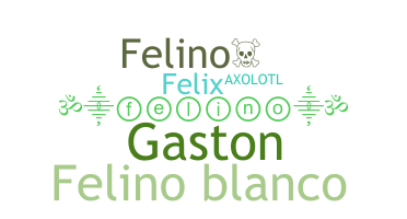 Nama panggilan - Felino
