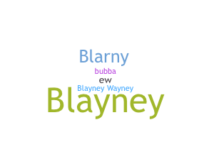 Nama panggilan - Blayne