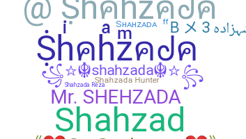 Nama panggilan - Shahzada