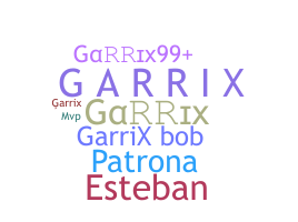 Nama panggilan - Garrix