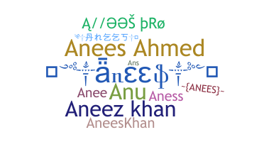 Nama panggilan - Anees