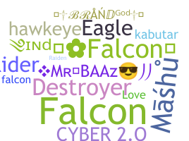 Nama panggilan - Falcons